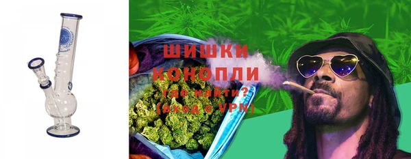 дурь Пестово