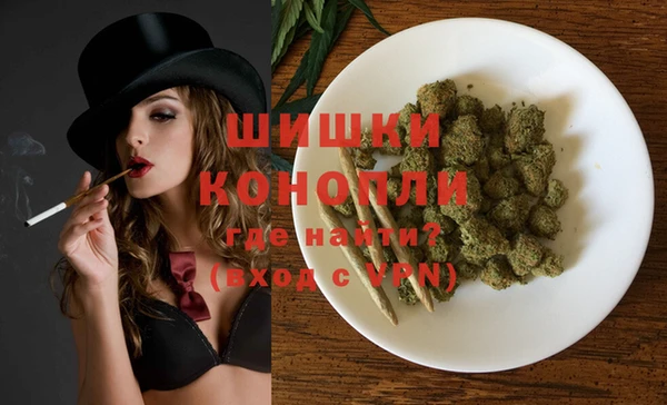 дурь Пестово