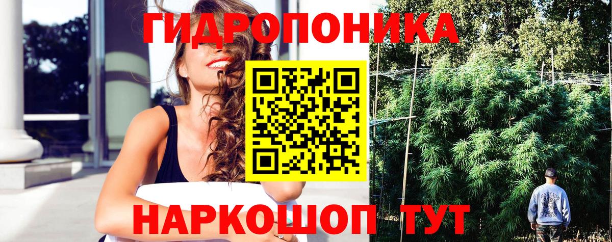 Канабис марихуана  Марихуана тримм  Торжок  Шишки марихуана OG Kush  Вход с VPN 